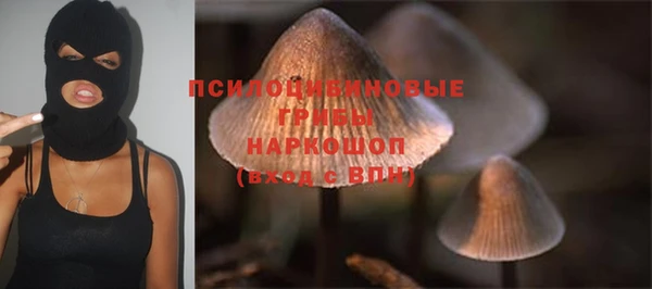 apvp Аркадак