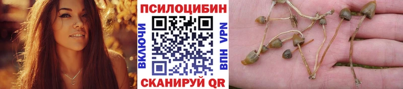 Псилоцибиновые грибы ЛСД  что такое   Полевской 
